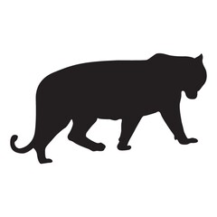 Obraz na płótnie Canvas silhouette of tiger