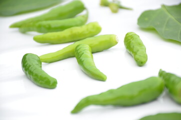 bunch the ripe green chilly isolated on white background