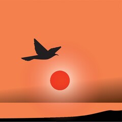 Fototapeta premium silhouette of bird flying