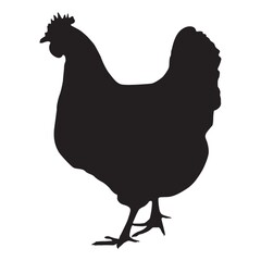 silhouette of hen
