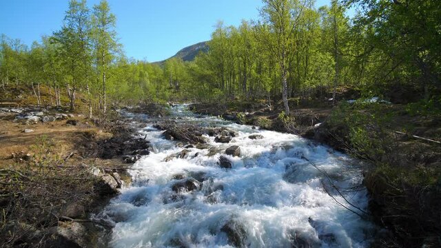 Static view of rapids high up in the Lyngen alps, in middle of fresh green trees, sunny, summer day, in North Norway