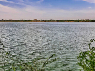 Picture of Sea and clouds shot from beach