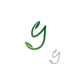 Obraz premium letter Y and leaf logo design vector template