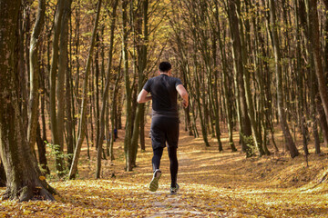 Fototapeta premium Back view of a fit man running in the alley of trees in autumn park. Selective focus. 