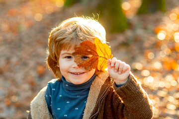 Autumn kids, lovely child playing in autumn park.