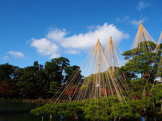 Obraz premium 日本 金沢 兼六園 日本庭園