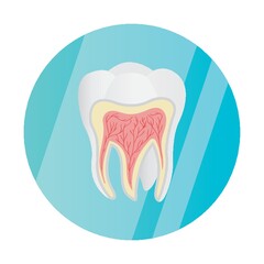 healthy tooth