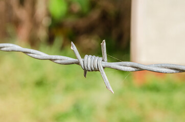 Barb Of Wire Fence