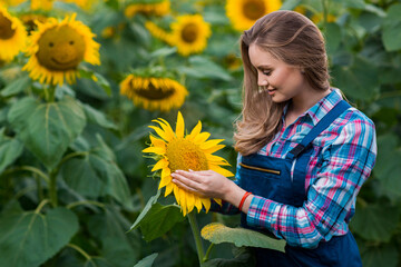 Young, adorable, energetic, female farmer cultivating from one of the sunflowers from the big green field.