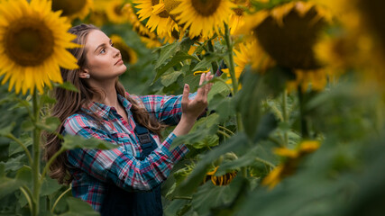 Adorable, energetic, female farmer examining sunflowers in the middle of a beautiful sunflower field.