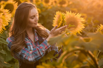 Gorgeous, young, energetic, female farmer examining sunflowers in the middle of a beautiful sunflower field, during a scenic sunrise.