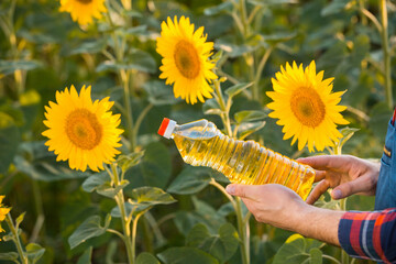Fototapeta premium Close up view of a young farmer's hands while he is holding a sunflower oil bottle and standing in the middle of a sunflower field.