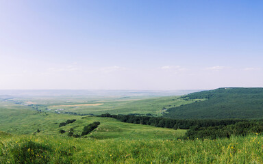 Obraz premium Green meadows in sunny weather. Wallpapers with the image of meadows.