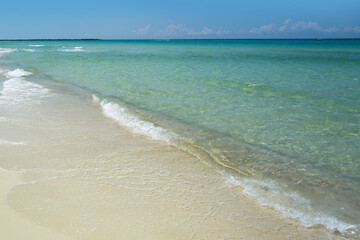 Fototapeta na wymiar Summer beach and sea. Soft blue ocean wave on sandy beach. Beautiful seascape panorama.