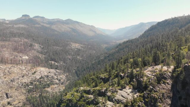 Slow aerial pan of a High Sierra forest and large burned area from the Donnell Fire in California.