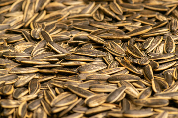 Scattered roasted sunflower seeds, the texture of the surface. Close up.