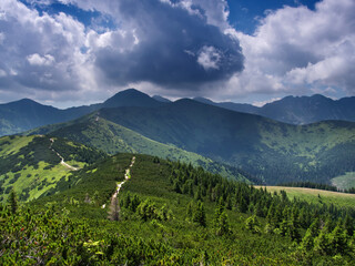 Fototapeta na wymiar Dolina Chochołowska - widok z góry Grześ na Długi Upłaz