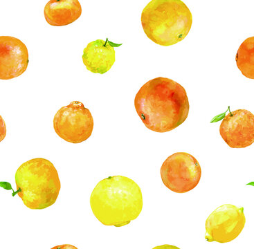 Seamless pattern of various citrus fruits produced in Seto Inland Sea area, with white background