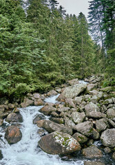 Mountain stream in High Tatras National Park, Slovakia, Europe. Beautiful world.