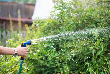 Gardener is watering a garden bed by a water sprinkler close up.