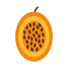 passion fruit icon, flat style