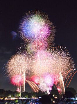 昭和記念公園の花火大会