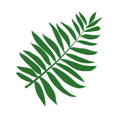 tropical fern leaf flat style icon vector design