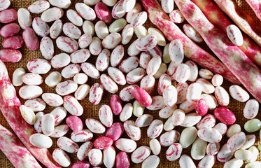 Borlotti beans