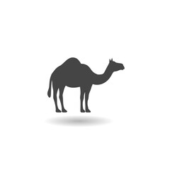 Desert camel icon with shadow