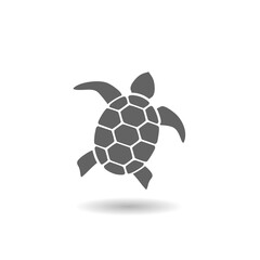 Obraz premium Sea turtle solid icon with shadow