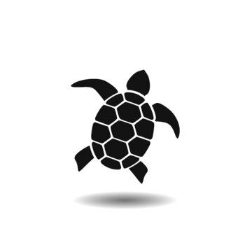 Sea turtle solid icon with shadow