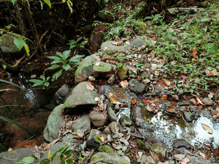 Nature in Sri Lanka