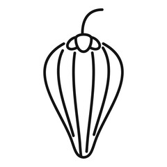 Superfood exotic icon. Outline superfood exotic vector icon for web design isolated on white background