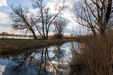 Obraz premium Water channel through which the bridge leads. around are ponds and mature trees. In the background is a blue sky with clouds.