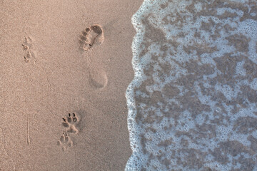 footprints in sand