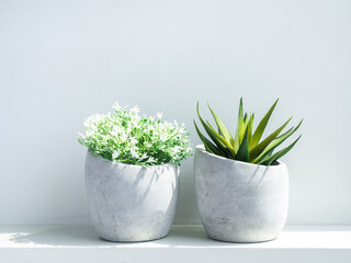 Concrete pot. Geometric cement planter.