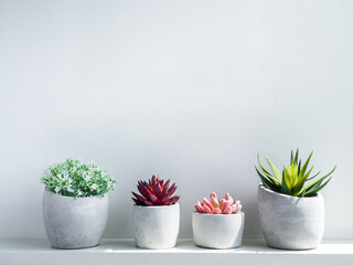 Concrete pot. Geometric cement planter.