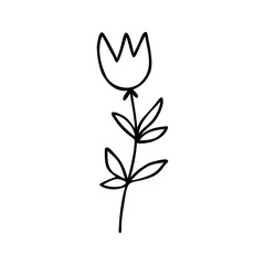Hand drawn abstract flower silhouette. Black and white outline simple vector illustration. Decorative branches. Spring and summer leaf icon. Doodle style.