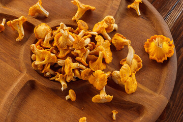 Chanterelle mushrooms on a wooden plate of round shape. Cement background