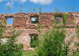 The old overgrown brick walls of the destroyed building. Horizontal orientation, selective focus.