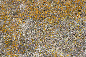 The old concrete surface is covered with lichens