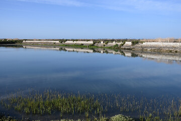 réserve naturelle et marais au petit matin
