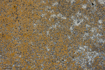 The old concrete surface is covered with lichens
