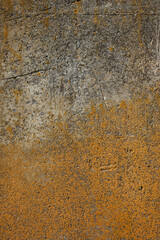 The old concrete surface is covered with lichens