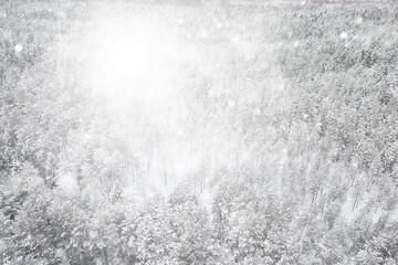 abstract snowfall forest background, white snowflakes fall in the forest landscape, christmas background