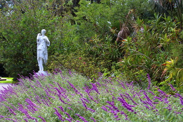statue in adelaide botanic garden