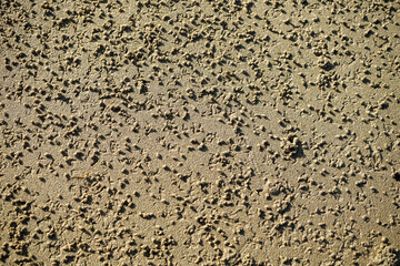 Textured nature background: pattern in the sand made by tiny crabs.
