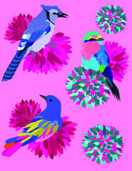 Vector illustration of colorful birds and flowers. Fashion illustration