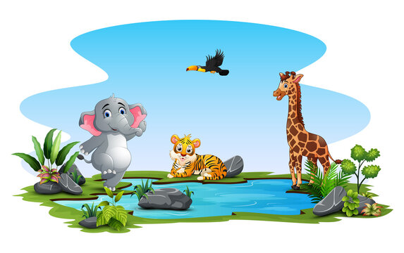 Wild animals cartoon playing in the pond