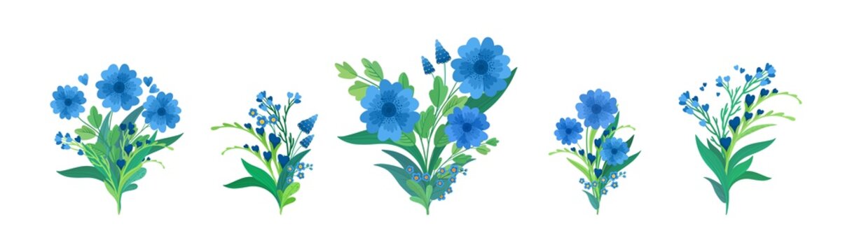 Flowers compositions flat vector illustrations set. Blooming meadow wildflowers, green leaves and hearts greeting, invitation card design elements pack. Blue bouquets isolated decorations